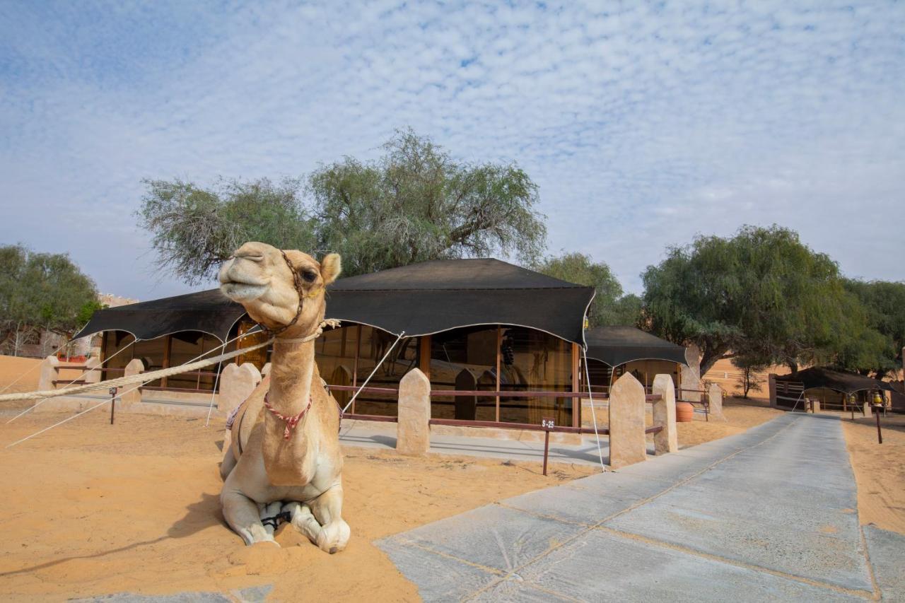 Thousand Nights Camp Hotel Shāhiq Exterior foto